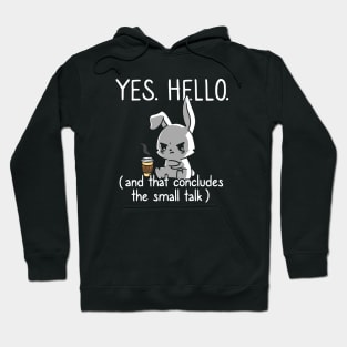 That Concludes Small Talk Funny Introvert Socially Awkward Hoodie